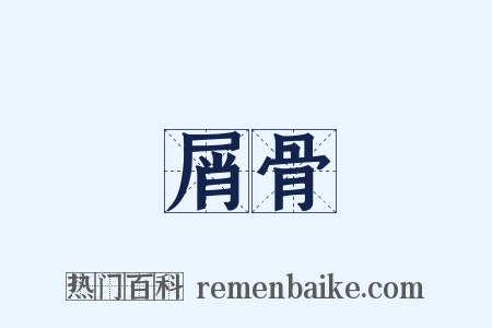屑骨是什么意思的图片